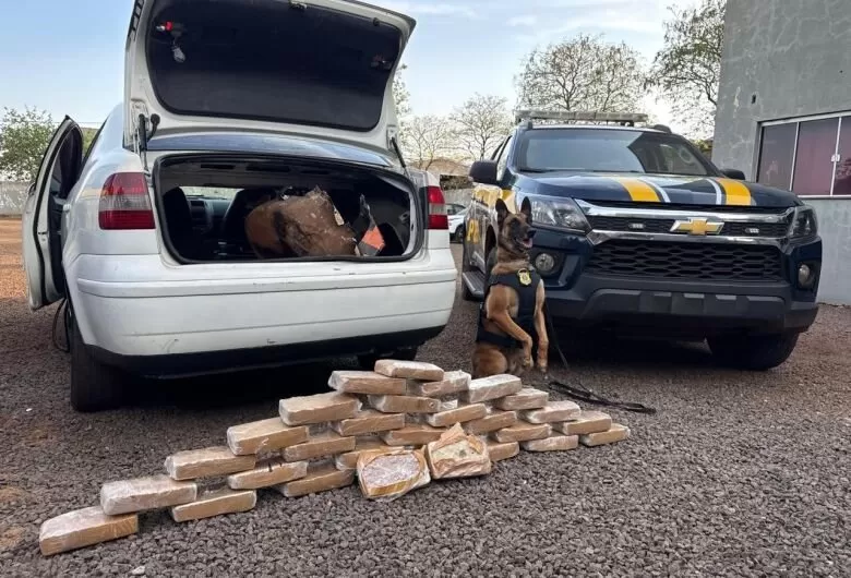 Durante a fiscalização, o motorista apresentou nervosismo e respostas contraditórias - Crédito: Dourados News