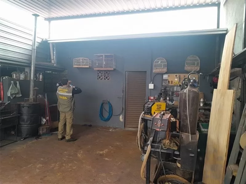 Fiscalização integrada também revela crimes associados em operação nacional - Foto: Divulgação