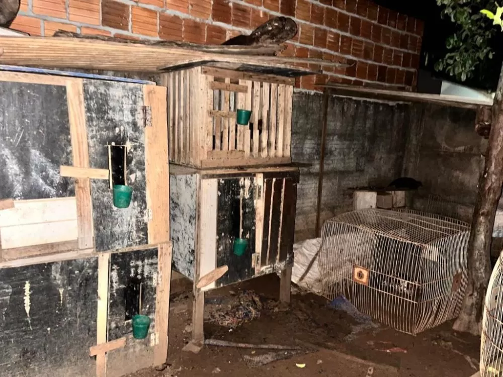 A atividade ilícita ocorria a menos de 100 metros de um quartel da Polícia Militar, evidenciando a ousadia dos envolvidos (Foto PC MS)